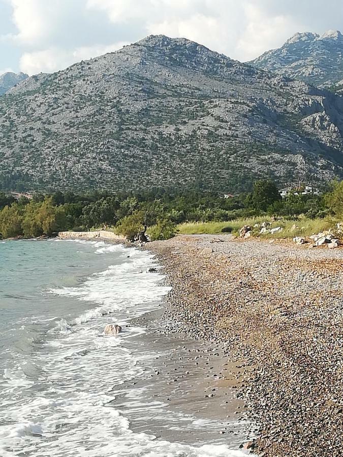 Apartments Veni Up Starigrad Paklenica Dış mekan fotoğraf